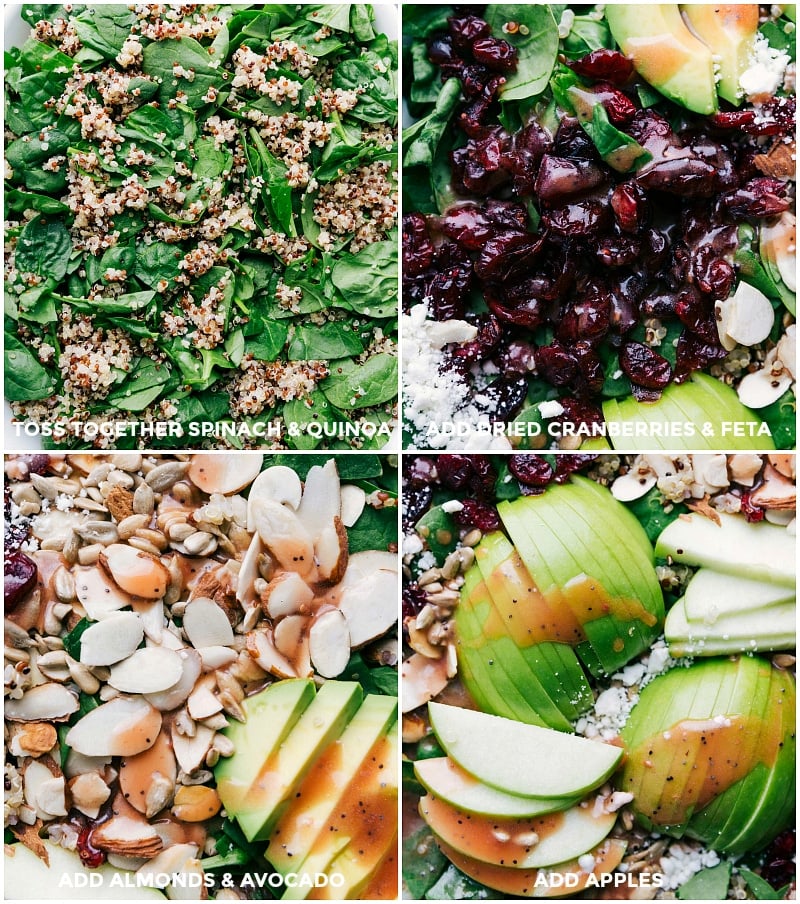 Arranging Quinoa, Cranberries, Feta, Almonds, Avocado, and Apples on Spinach Quinoa, cranberries, feta, almonds, avocado, and apples on a bed of spinach.