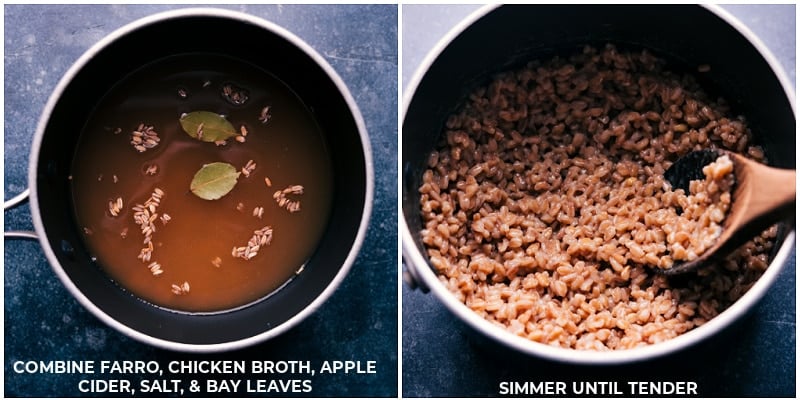 This Sweet Potato-Farro Salad stars our new favorite anti-inflammatory grain--farro! With roasted sweet potato, sweet cranberries, salty pistachios, and a completely irresistible lemon dressing, this salad is a hit with everyone that tries it!ย Recipe via chelseasmessyapron #thanksgiving #sidedish #thanksgivingside #vegetarian #sweetpotato #farro #salad Process shots: combine ingredients and simmer farro until tender.