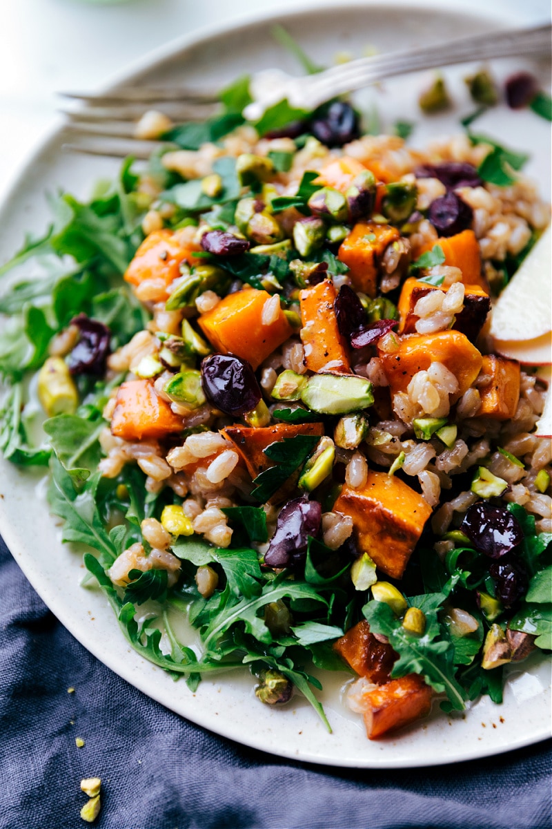 This Sweet Potato-Farro Salad stars our new favorite anti-inflammatory grain--farro! With roasted sweet potato, sweet cranberries, salty pistachios, and a completely irresistible lemon dressing, this salad is a hit with everyone that tries it!ย Recipe via chelseasmessyapron #thanksgiving #sidedish #thanksgivingside #vegetarian #sweetpotato #farro #salad Overhead image of the Sweet Potato-Farro Salad