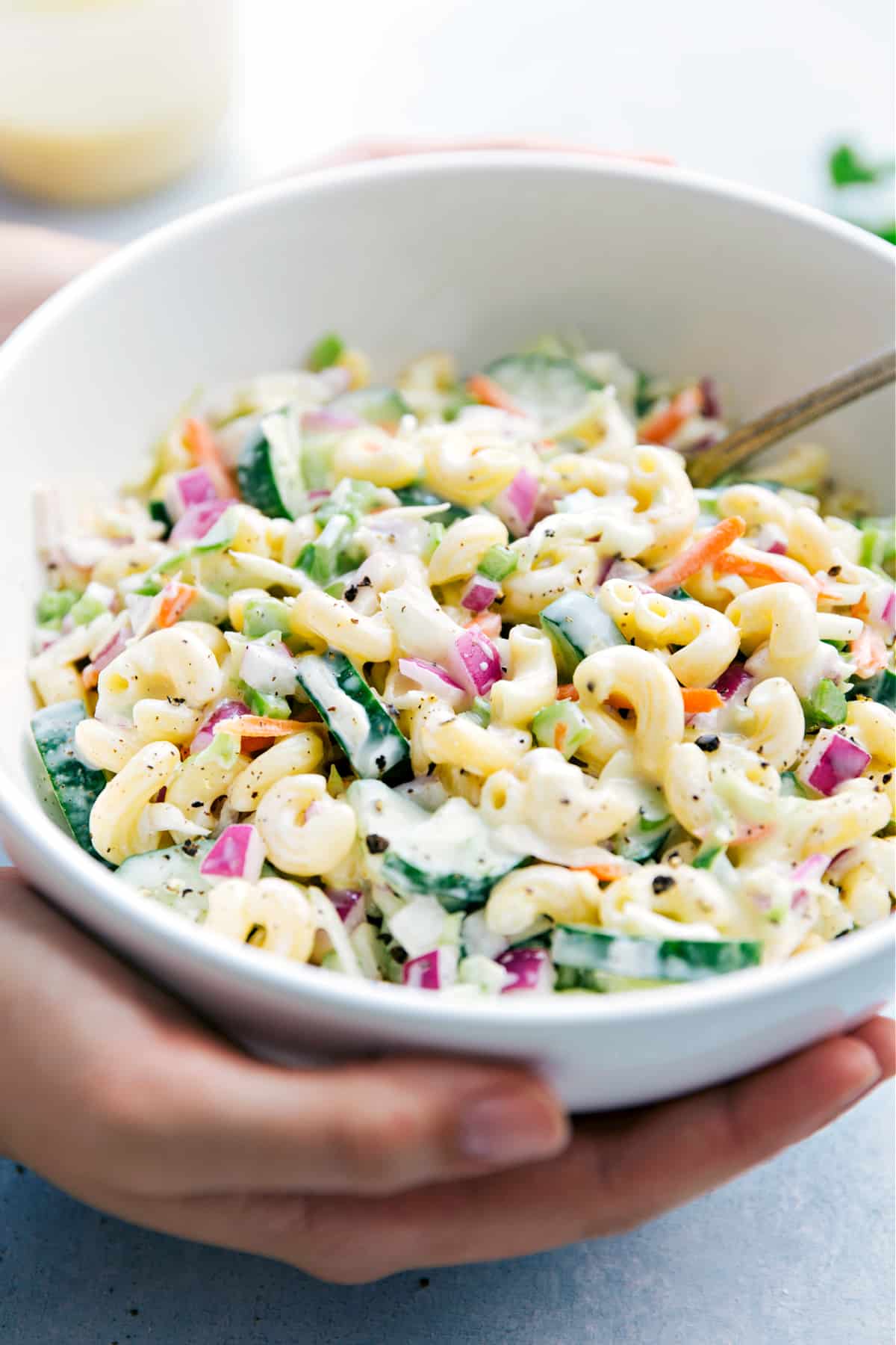 Easy Macaroni Coleslaw Recipe Someone holding a bowl full of the best macaroni coleslaw salad.