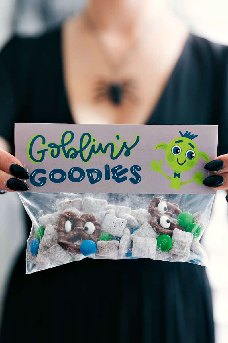 6 fun and festive easy Halloween bags filled with delicious treats! These candies/treats are put in a snack-size ziplock bag and you can staple on the FREE printable bag toppers! via chelseasmessyapron.com #halloween #gift #favor #party #dessert #candy #treat #easy #quick #free #printable #witch #pumpkin #dracula #zombie #mummy #ghost #skeleton #monster #zombies #kids #healthy #healthier #simple #fun #halloween #decor