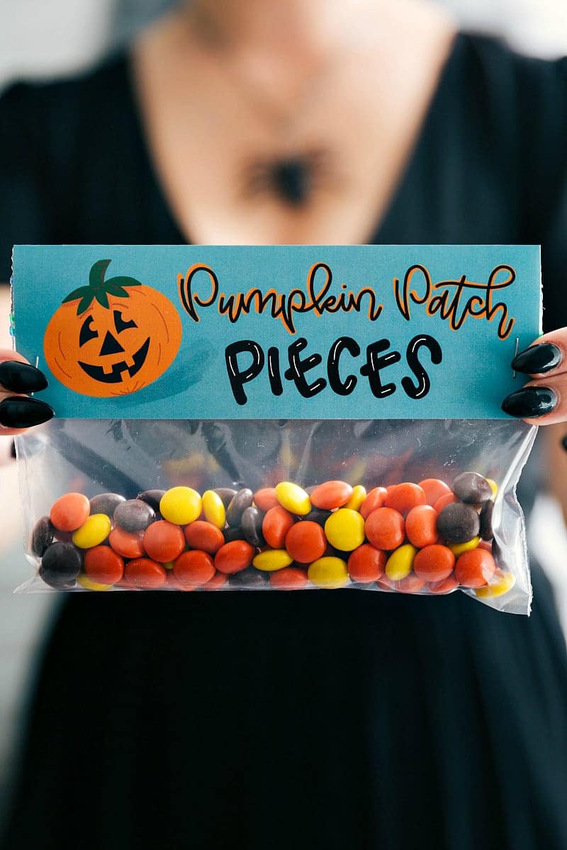 6 fun and festive easy Halloween bags filled with delicious treats! These candies/treats are put in a snack-size ziplock bag and you can staple on the FREE printable bag toppers! via chelseasmessyapron.com #halloween #gift #favor #party #dessert #candy #treat #easy #quick #free #printable #witch #pumpkin #dracula #zombie #mummy #ghost #skeleton #monster #zombies #kids #healthy #healthier #simple #fun #halloween #decor