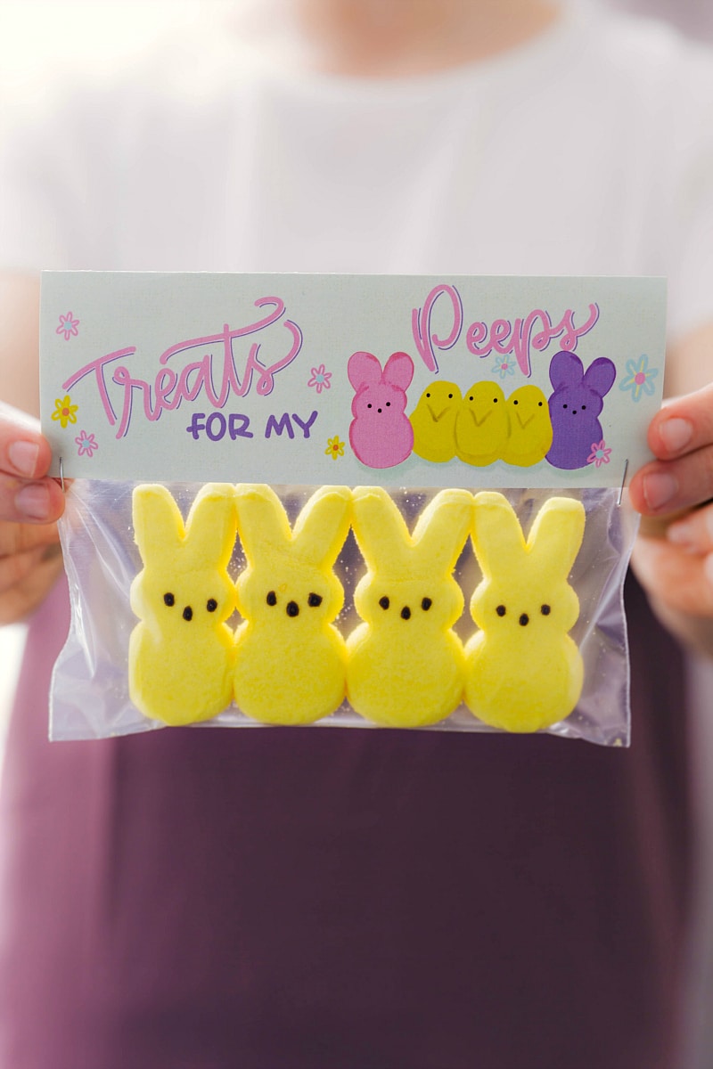 These five different Easter Treats are easy to make and delicious to eat!ย Treats are put in snack-size plastic bags with my FREE printable bag toppers! Recipe via chelseasmessyapron.com #easter #smores #party #bag toppers #springtime Treats for my peeps bag topper