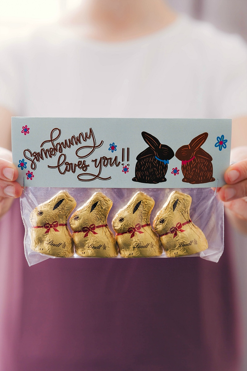 These five different Easter Treats are easy to make and delicious to eat!ย Treats are put in snack-size plastic bags with my FREE printable bag toppers! Recipe via chelseasmessyapron.com #easter #smores #party #bag toppers #springtime Somebunny loves you bag topper