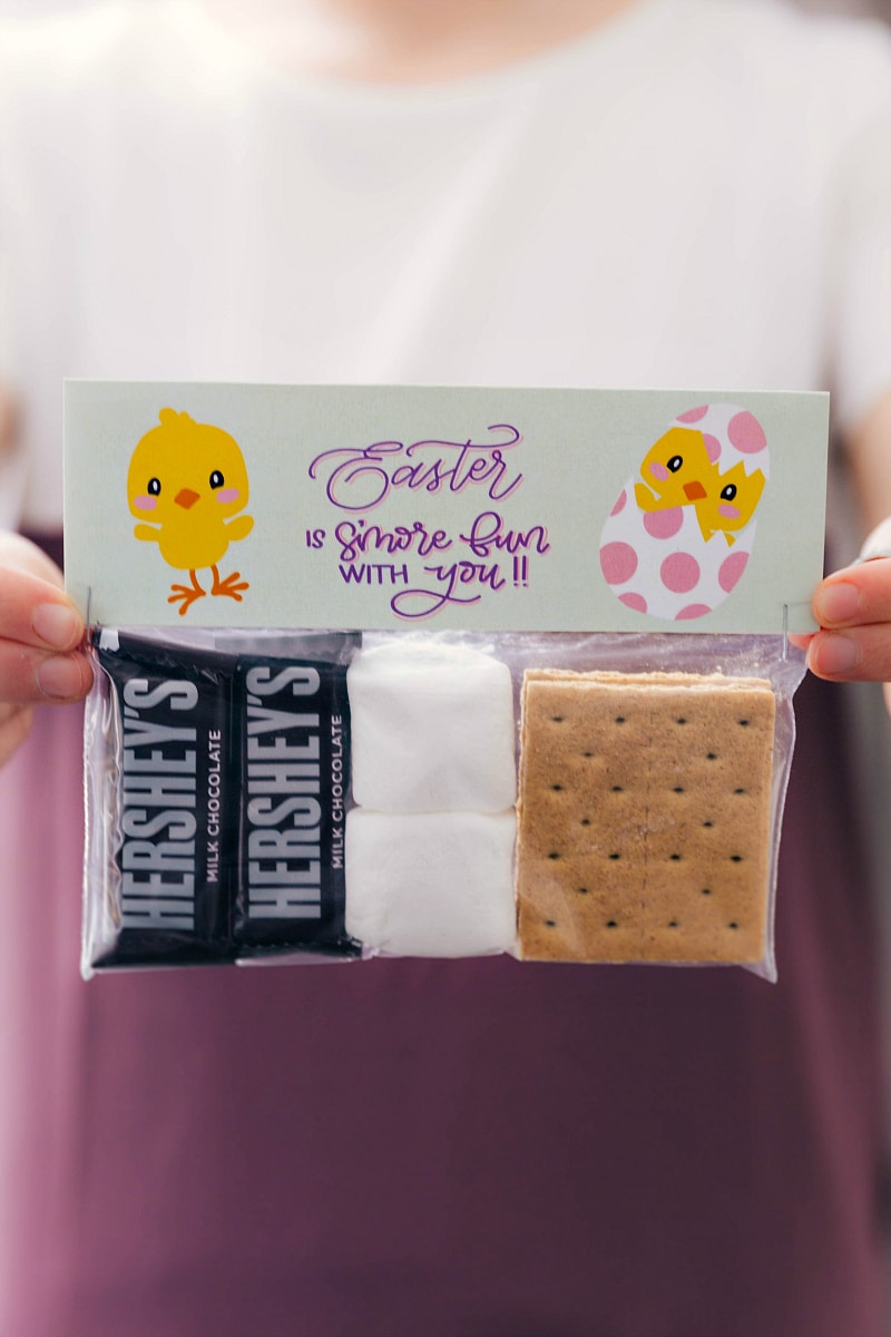 These five different Easter Treats are easy to make and delicious to eat!ย Treats are put in snack-size plastic bags with my FREE printable bag toppers! Recipe via chelseasmessyapron.com #easter #smores #party #bag toppers #springtime Picture of a person holding the S'more Fun Easter bag.