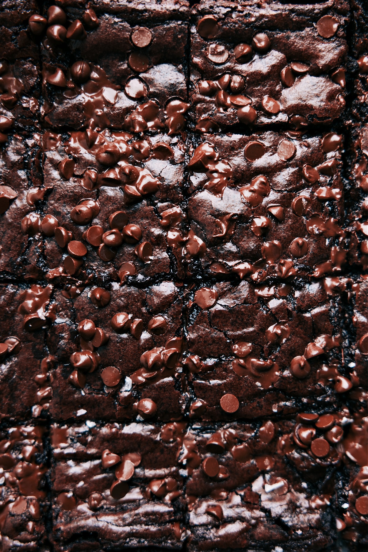 The Ultimate Dessert: Fudgy And Delicious Brownies Freshly baked brownie recipeโwarm, melty, and fudgy.