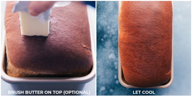 This is our go-to, favorite White Bread recipe made with only six common ingredients. Instead of making a grocery run first, you may already have everything you need! Recipe via ChelseasMessyApron #homemade #best #quick #easy #dough #white #bread Process shots: brushing the loaf with butter; letting it cool in the pan