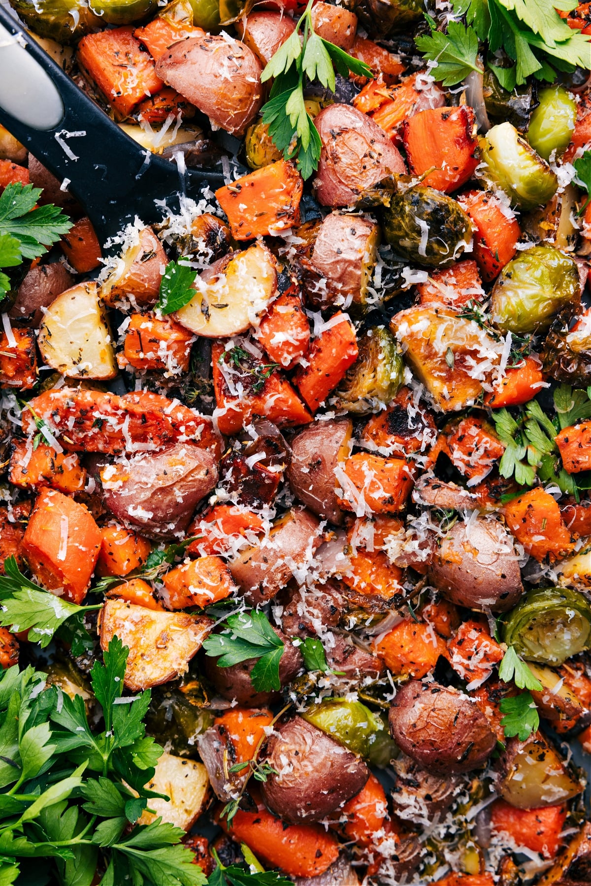 Roasted Vegetables On A Sheet Pan Sheet pan of roasted vegetables topped with freshly shredded Parmesan and chopped parsley.