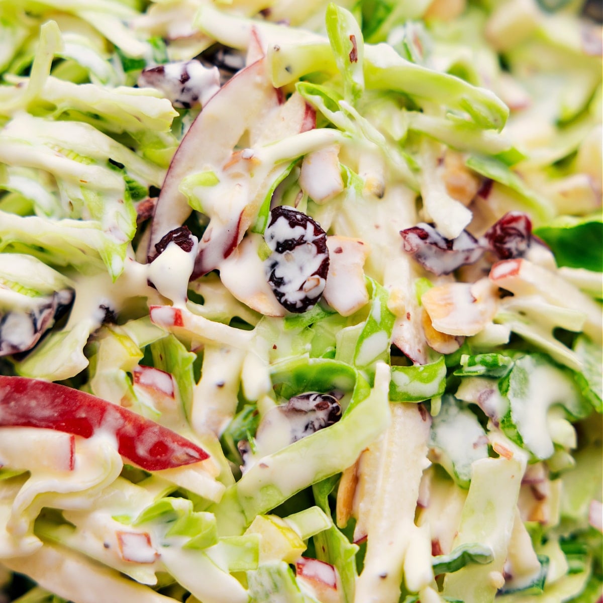 The Best And Easiest Apple Coleslaw Recipe Apple coleslaw tossed together, dressed, and ready to be enjoyed.