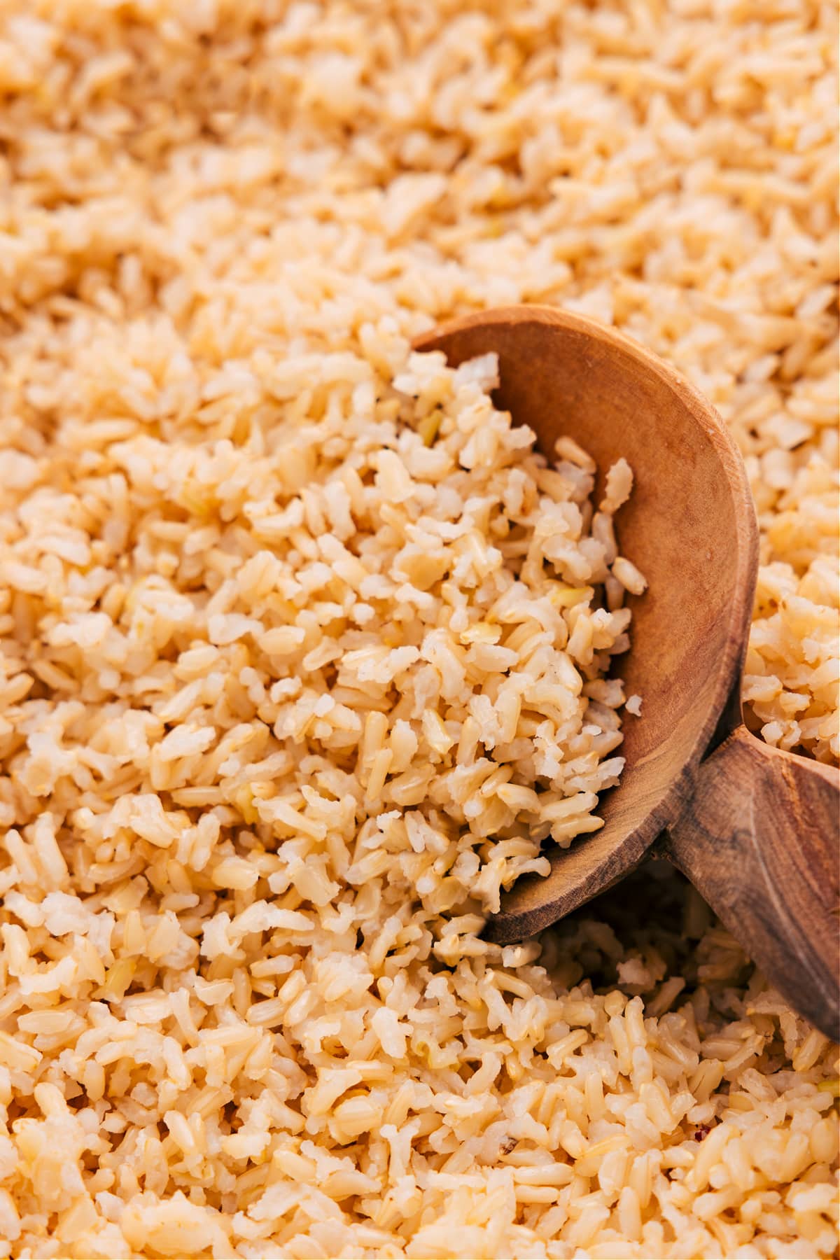 The Best And Fluffiest Brown Rice Recipe The ultimate fluffy brown rice recipe.
