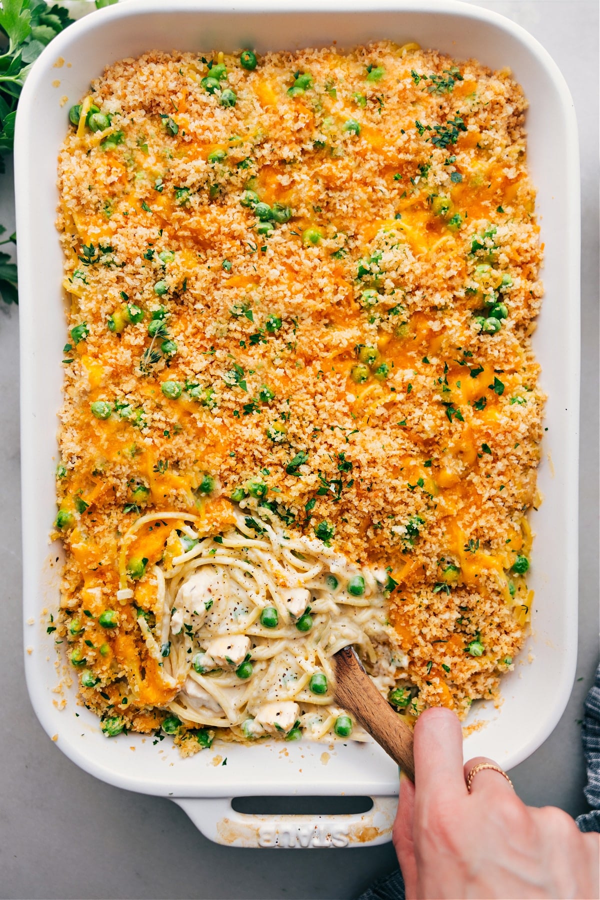 Cheesy Chicken Tetrazzini Chicken tetrazzini casserole from the pasta recipes roundup, a creamy and comforting baked pasta dish.