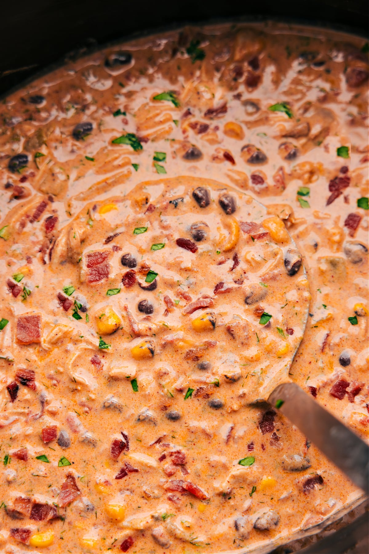 The Best Crack Crockpot Chili Crack Chicken Chili with a ladle picking some up.