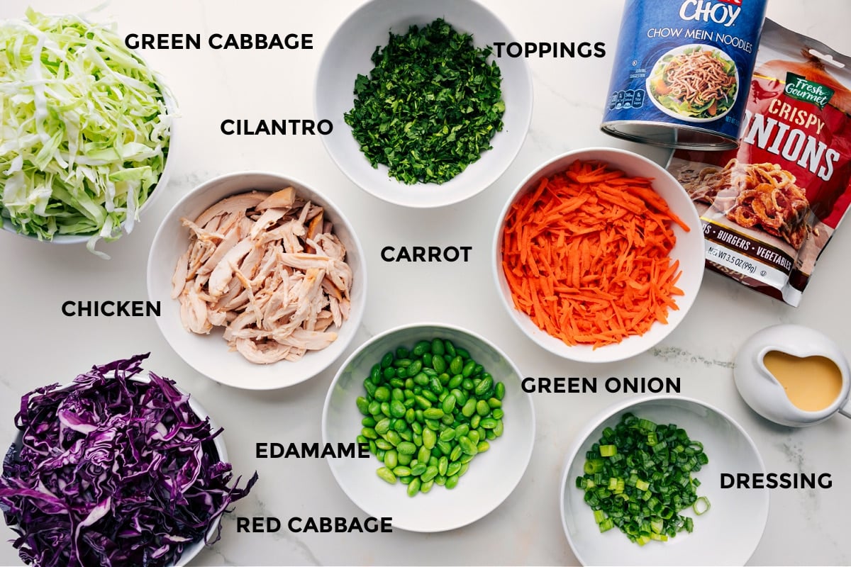 Ingredients In Asian Slaw Recipe All the ingredients in this recipe prepped and ready for easy assembly: green cabbage, red cabbage, carrots, cilantro, chicken, edamame, toppings, chow mein noodles, crispy onions, and dressing.