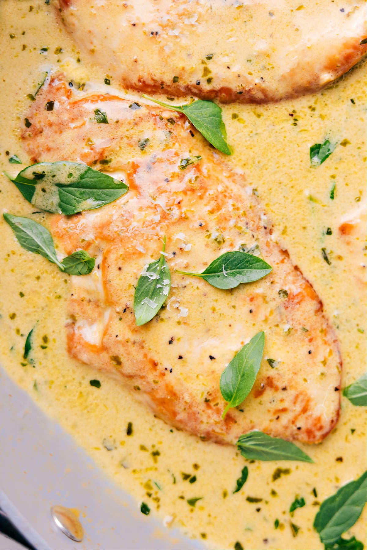 Creamy Pesto Chicken in the creamy sauce in the skillet.