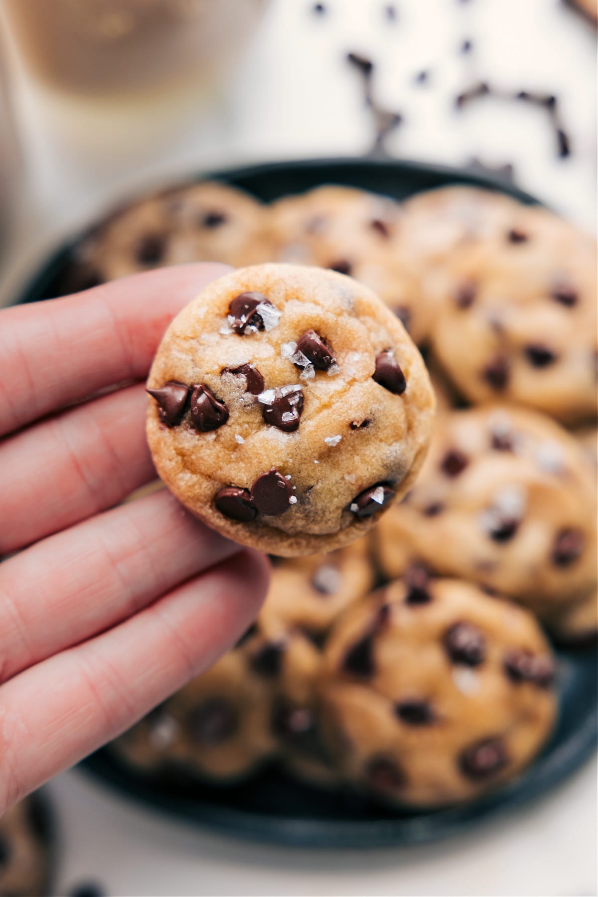 Tiny Chocolate Chip Cookies being held to show how small they are.
