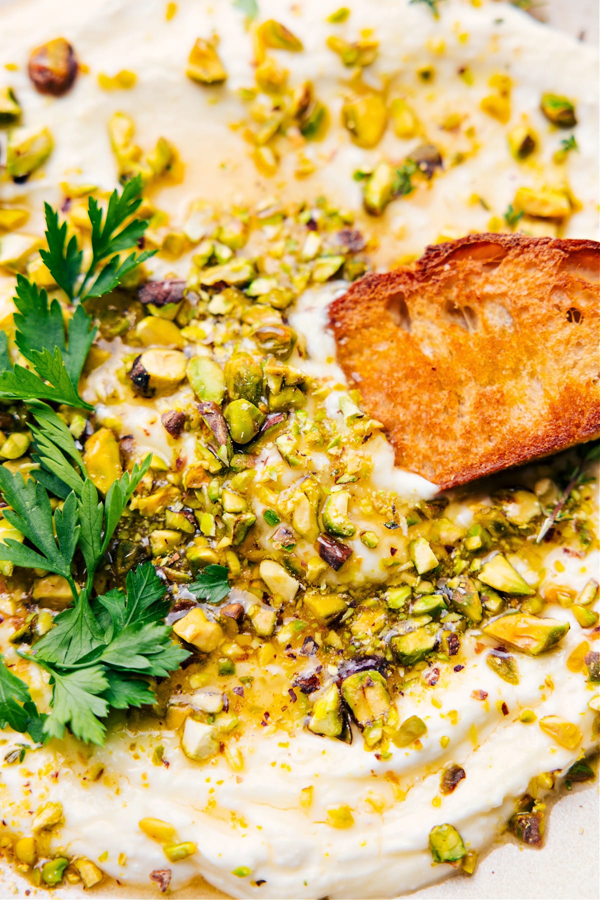 Quick, Easy, And Delicious Whipped Feta Recipe Whipped Feta Recipe with a toasted cracker dipping in.