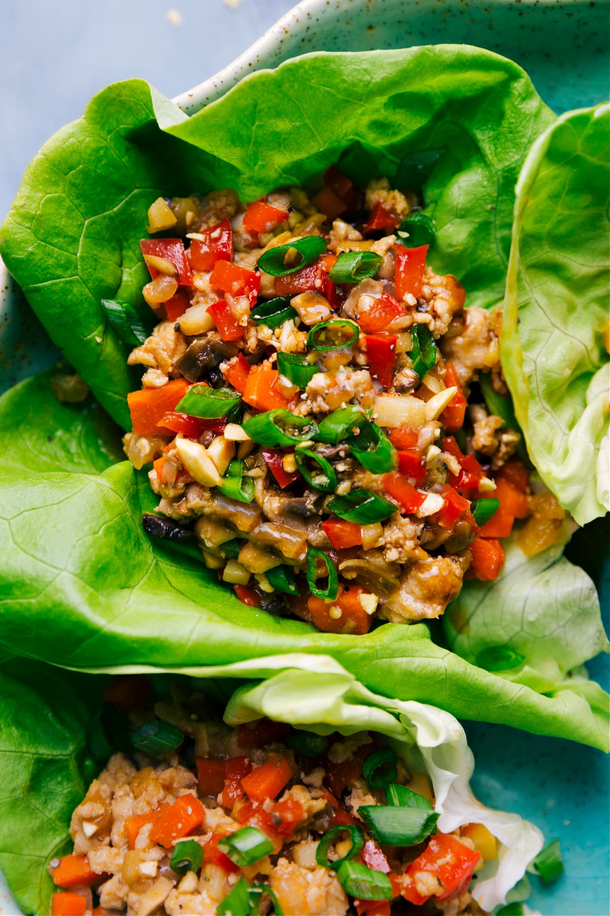 Lettuce Wrap Recipe topped with fresh green onions and sesame seeds.