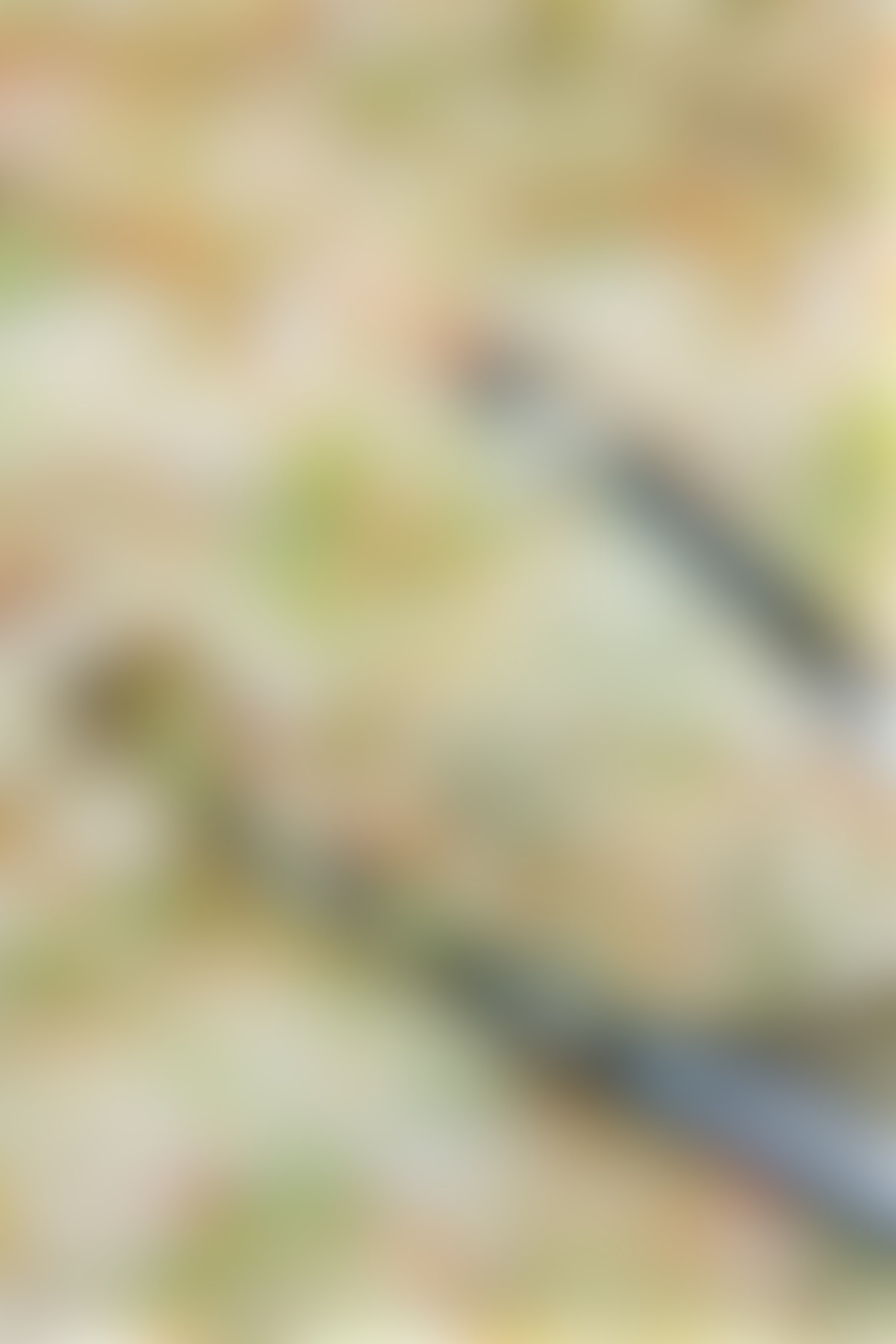 Chick-Fil-A coleslaw copycat recipe with tongs scooping some up