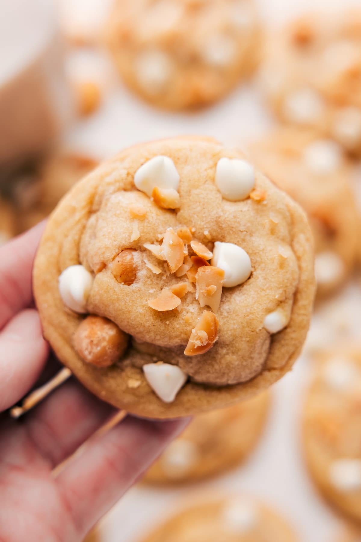 Recipe for Macadamia Nut White Chocolate Cookies freshly baked and ready to enjoy.